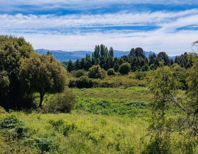 Terreno · 10000m²