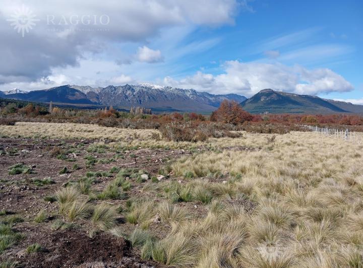 Campo · 19045m²