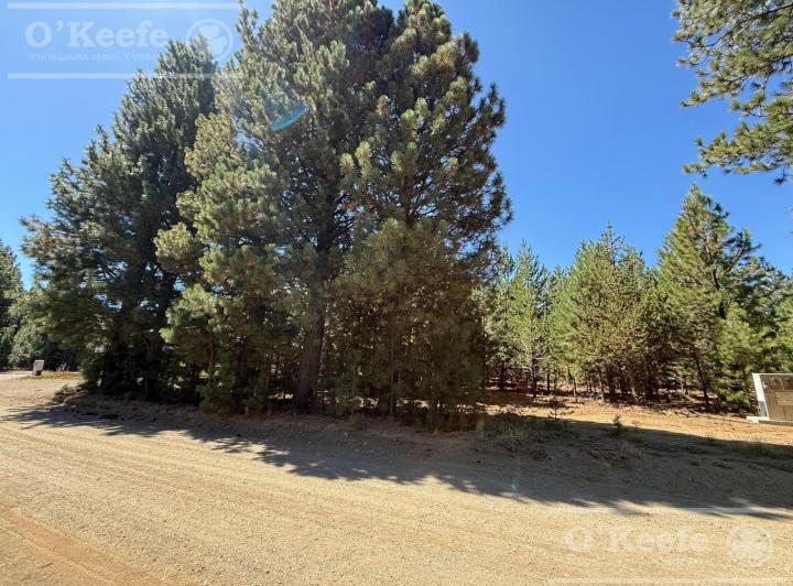 Terreno · 1160m²