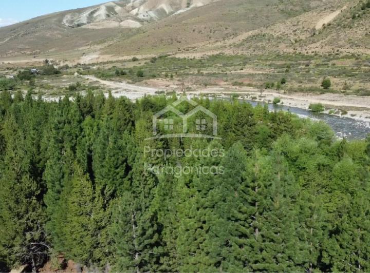 Terreno · 9629m²