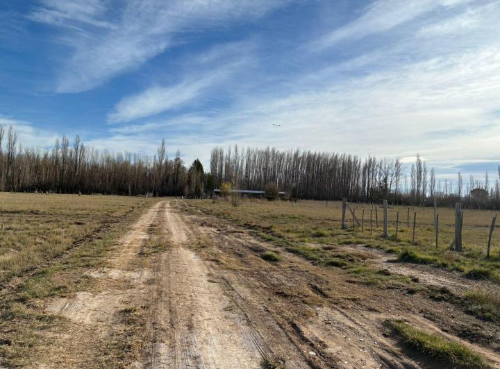 Terreno · 452m²