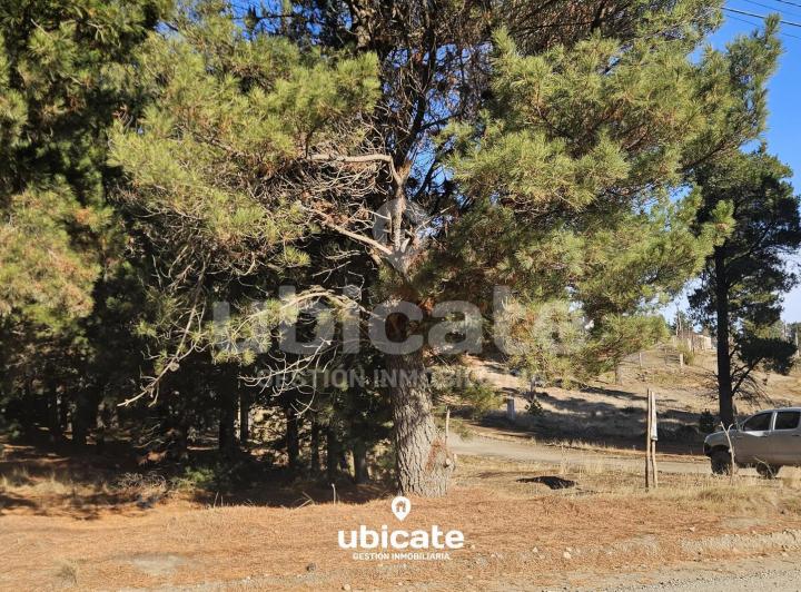 Terreno · 6500m²