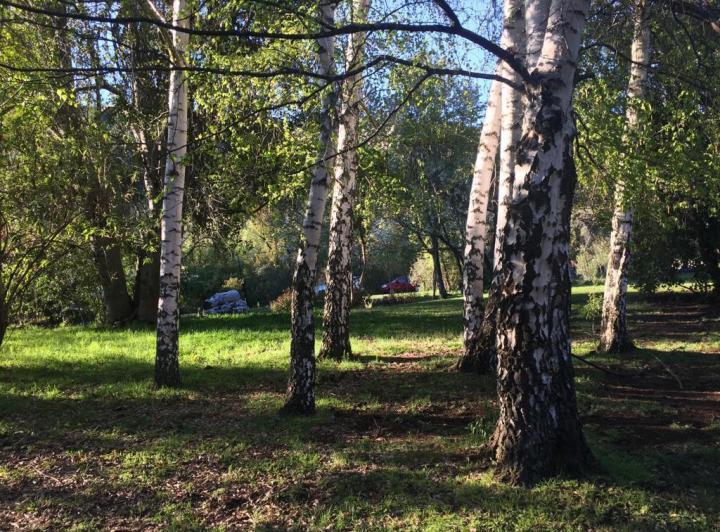 Campo · 75000m²