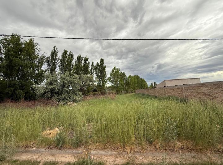 Terreno · 462m²