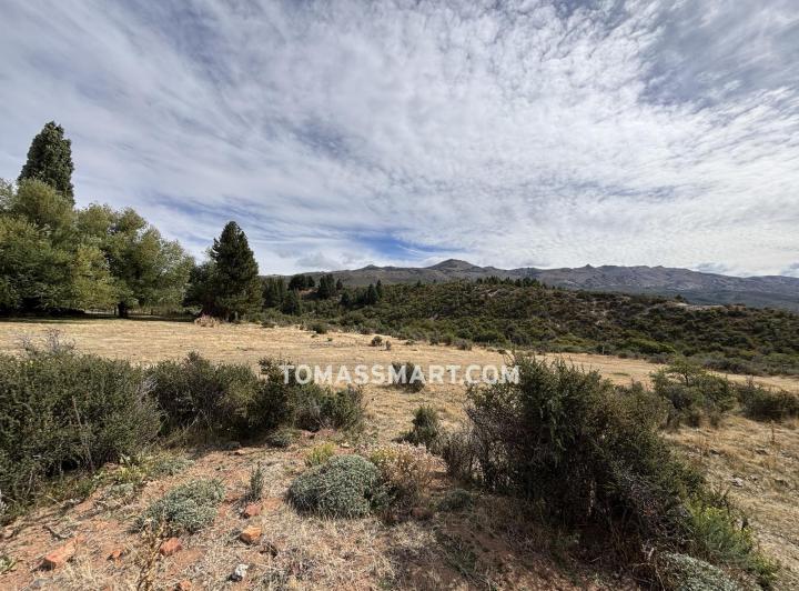Campo · 110000m²