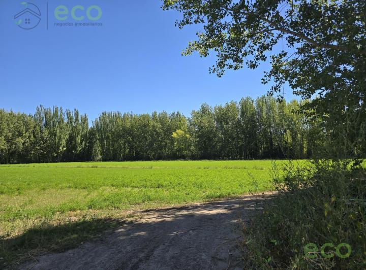 Campo · 180m²