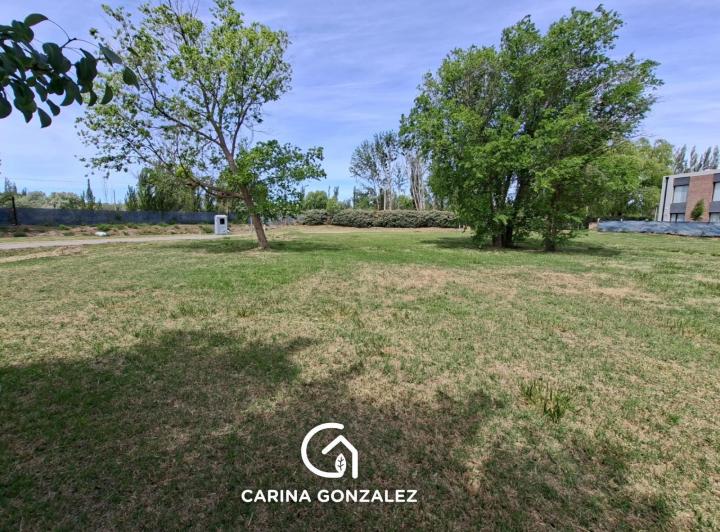 Terreno · 962m²