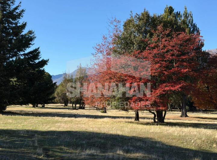 Campo · 10000m²
