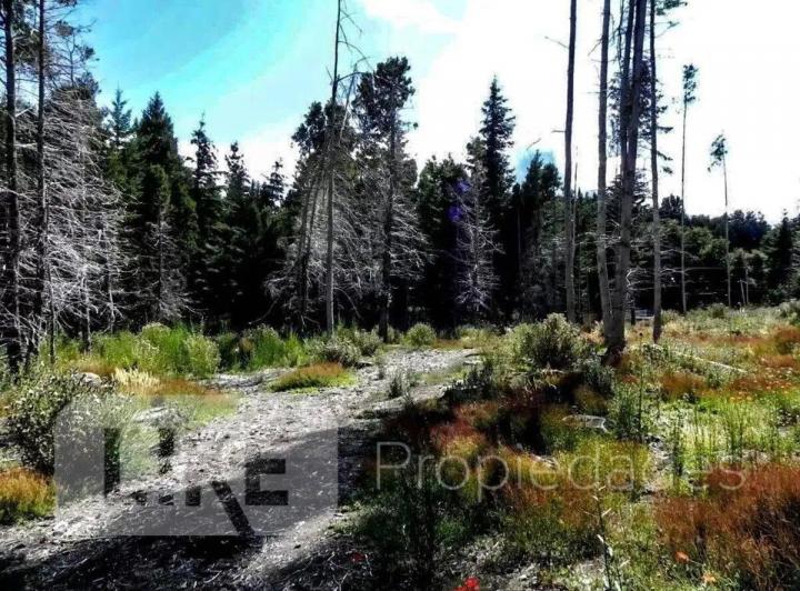 Terreno · 175366m² · 1 Ambiente