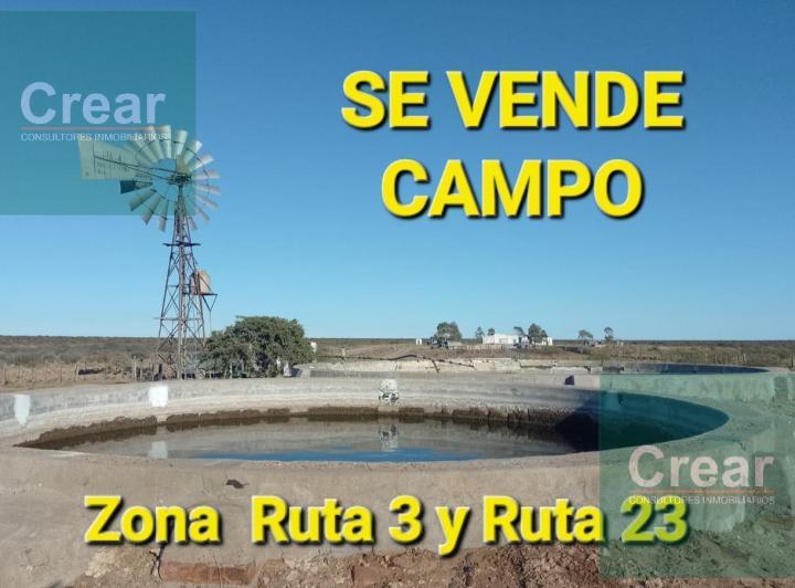 Campo · 46000m²