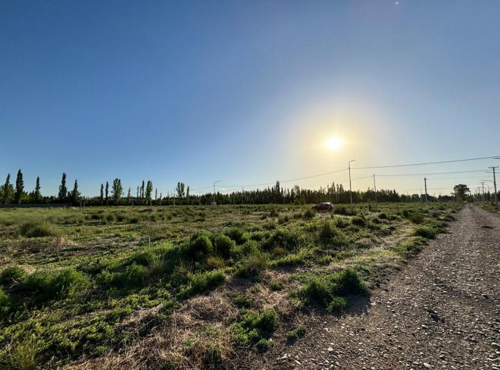 Terreno · 292m²
