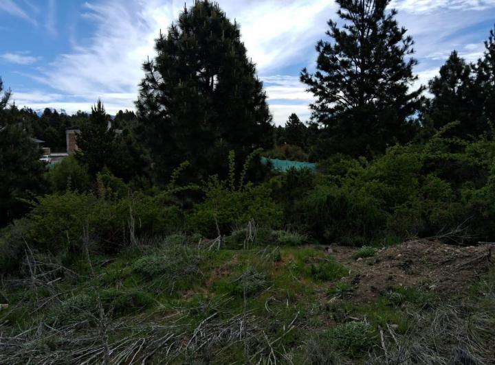 Terreno · 600m²