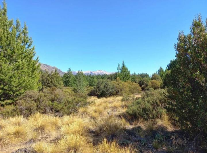 Terreno · 1207m²