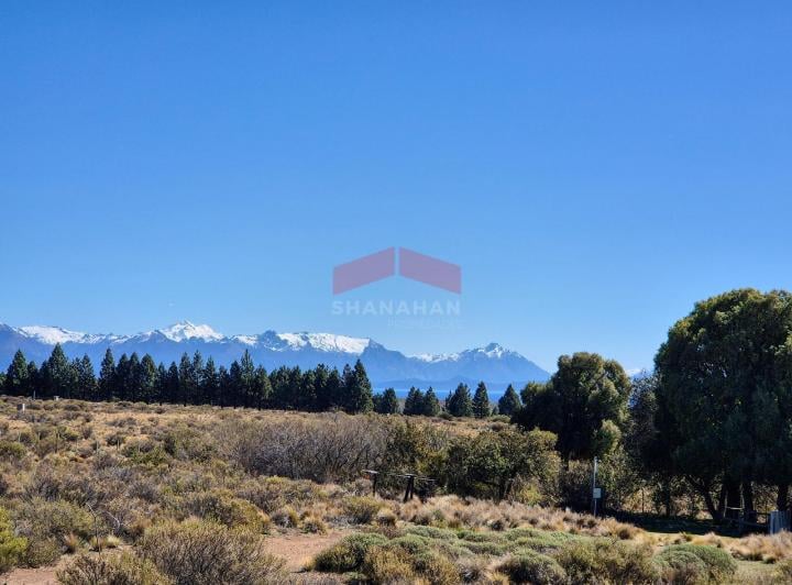 Campo · 54m² · 2 Ambientes