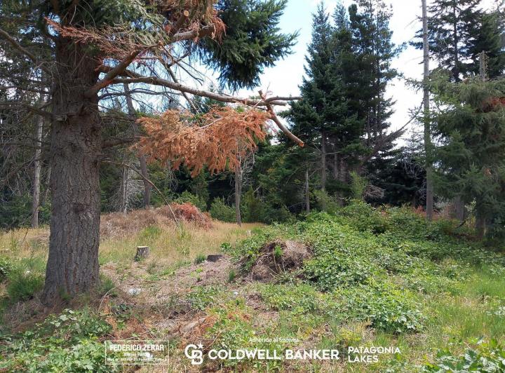 Terreno · 939m²