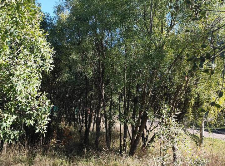 Terreno · 533m²
