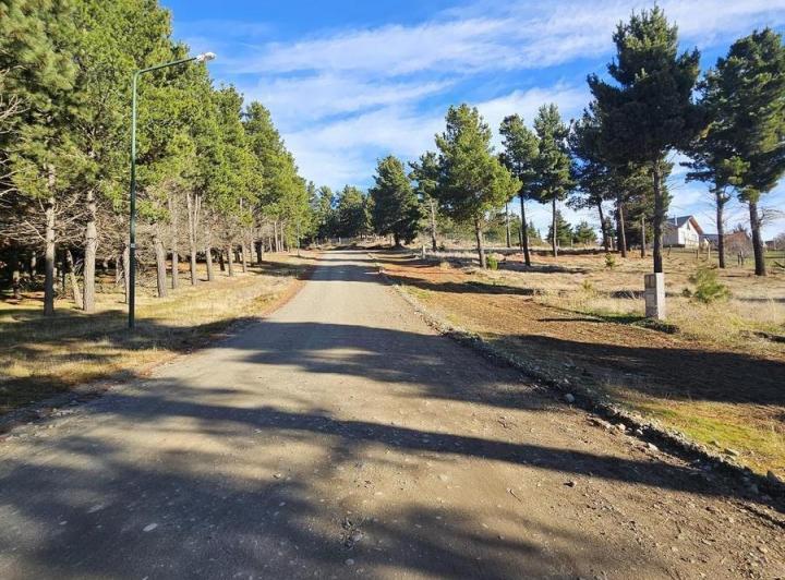 Terreno · 294m²