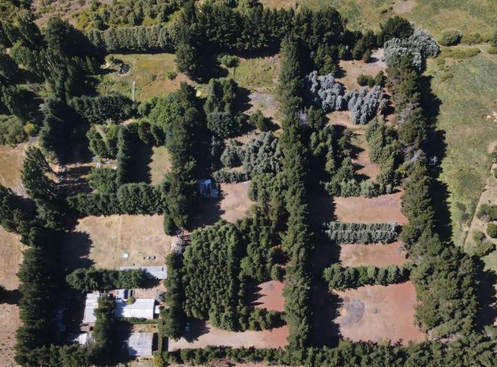 Terreno · 41000m²