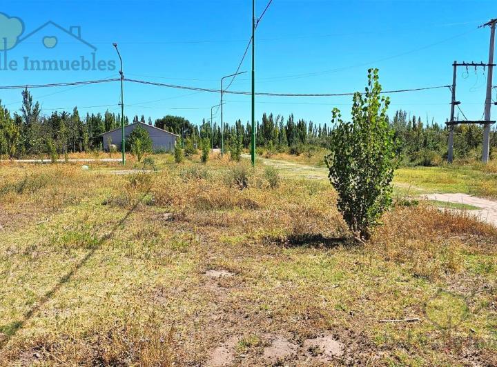 Terreno · 304m²