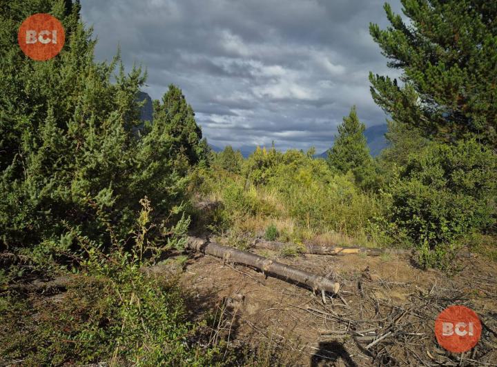 Terreno · 830m²