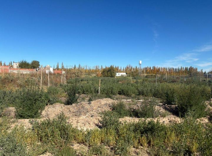 Terreno · 350m²