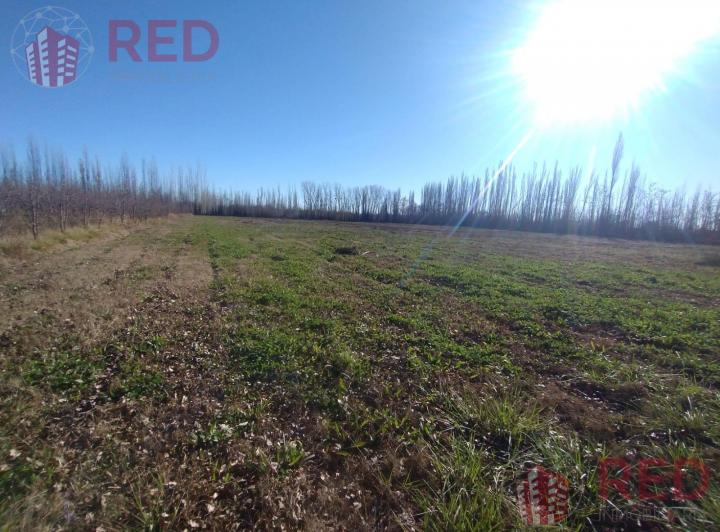 Terreno · 10000m²