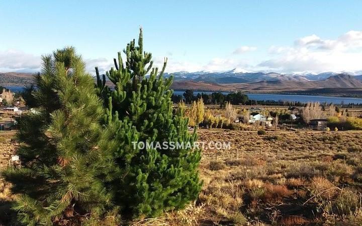 Terreno · 1259m²