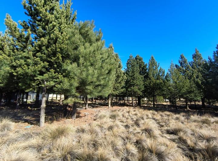 Terreno · 1160m²