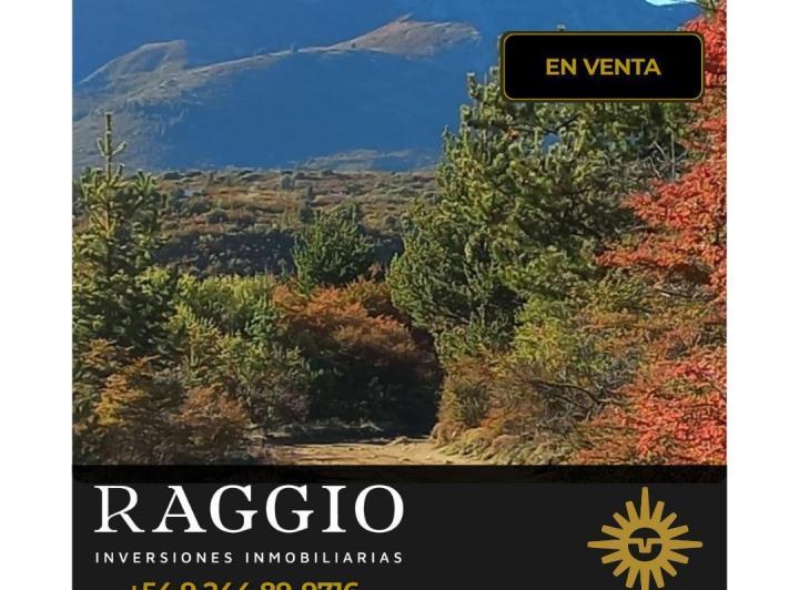 Terreno · 29ha