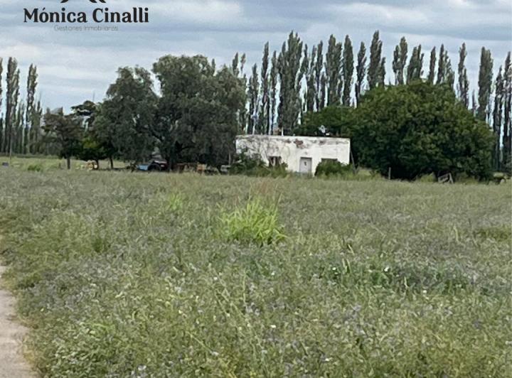 Terreno · 50m² · 2 Ambientes