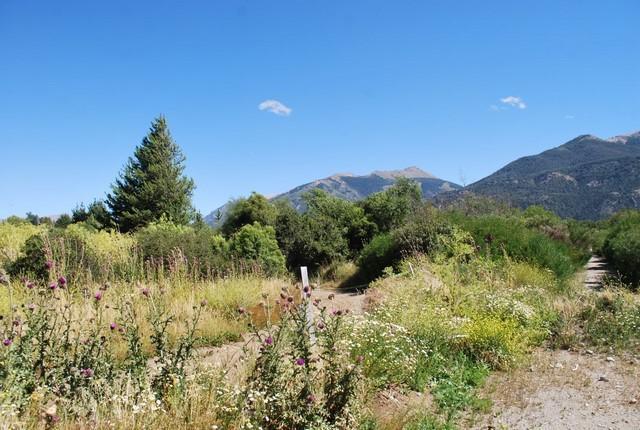 Terreno · 1664m²