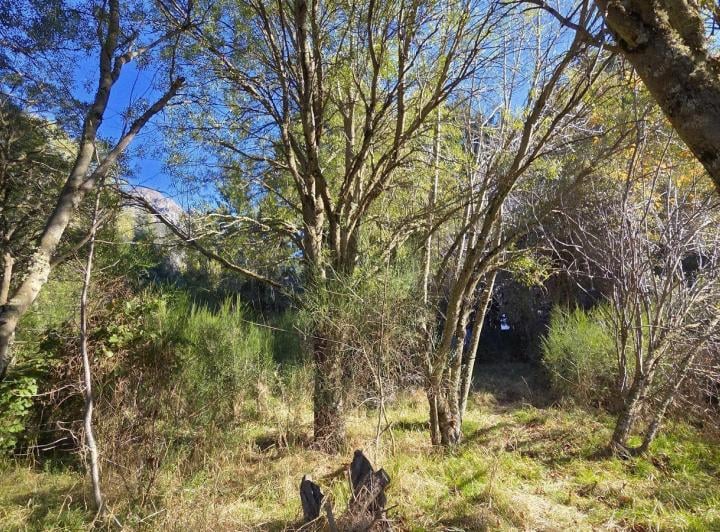 Terreno · 958m²