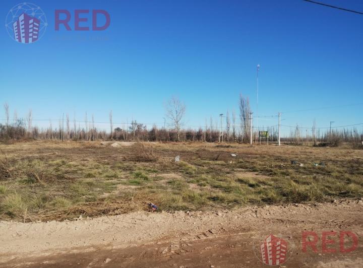 Terreno · 1000m²