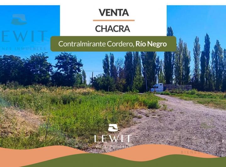 Campo · 110000ha