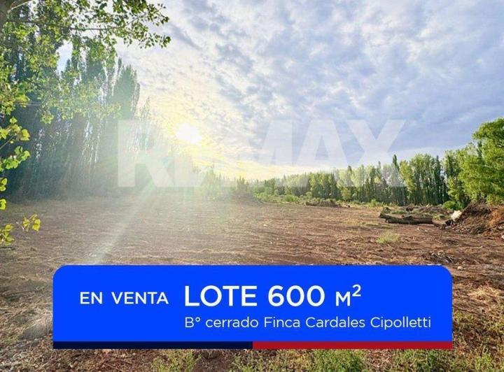 Terreno · 600m²