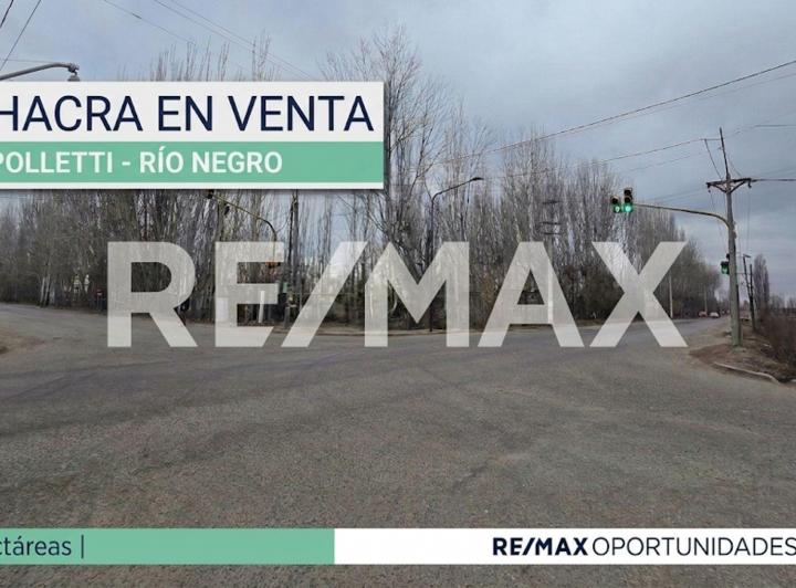 Campo · 2ha