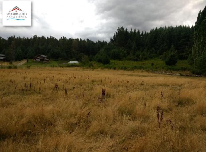 Campo · 40000m²