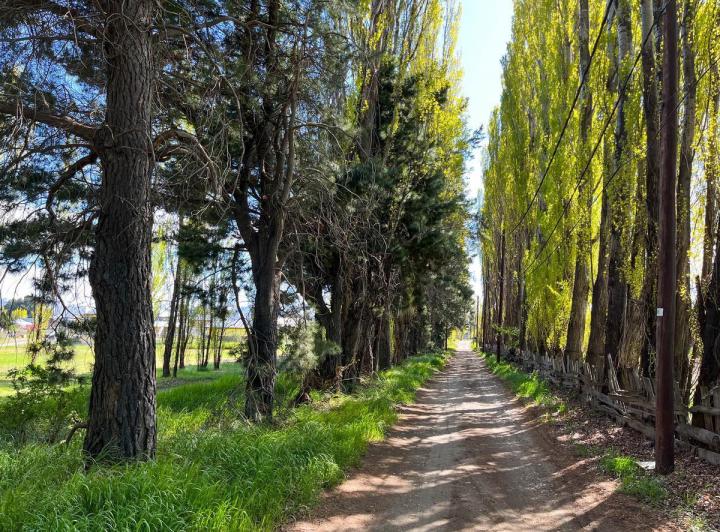 Terreno · 160m² · 5 Ambientes · 1 Cochera