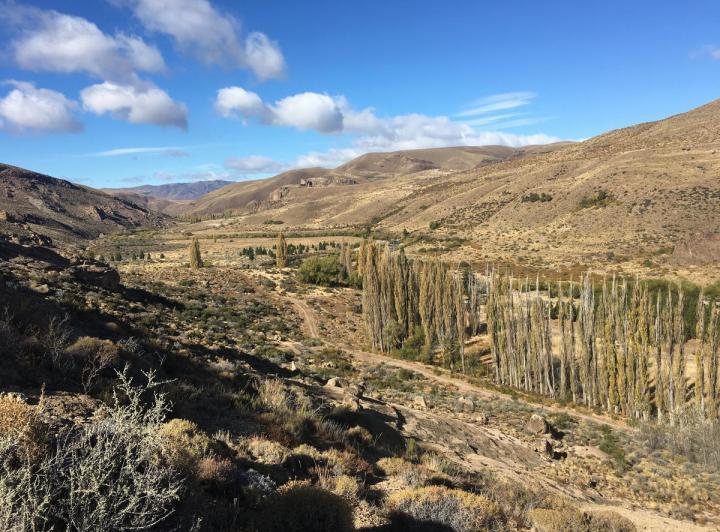 Campo · 11460000m²