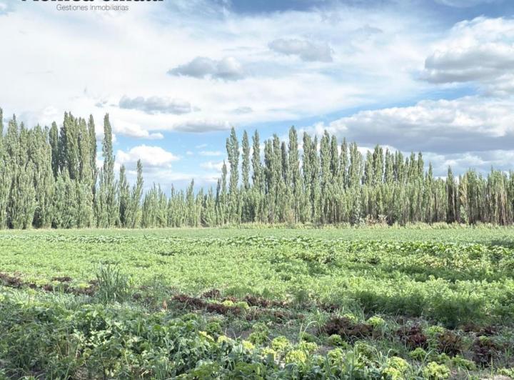 Terreno · 62500m²