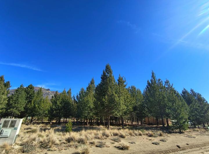 Terreno · 1158m²