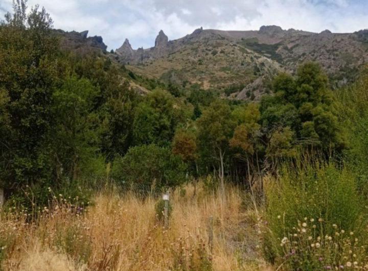 Terreno · 1012m²