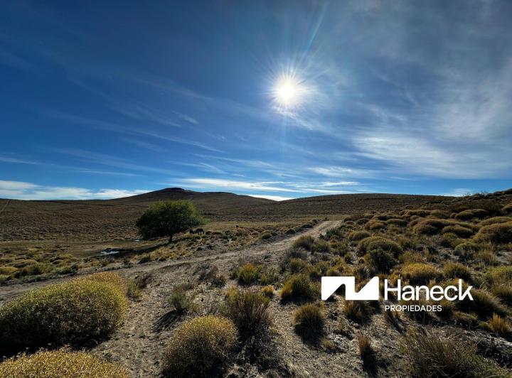 Campo · 5650000ha