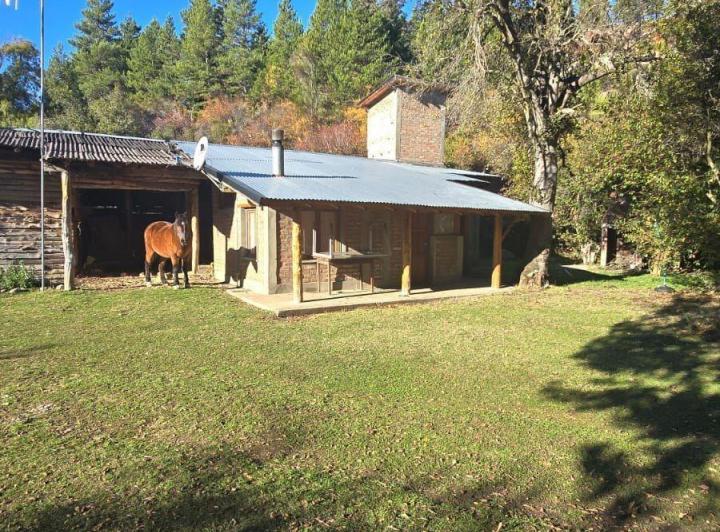 Campo · 75000ha