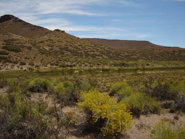 Campo · 180m²