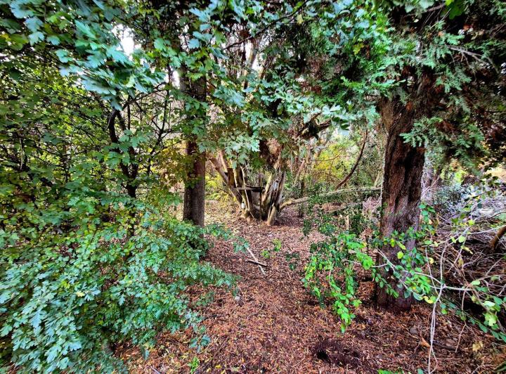Terreno · 800m²