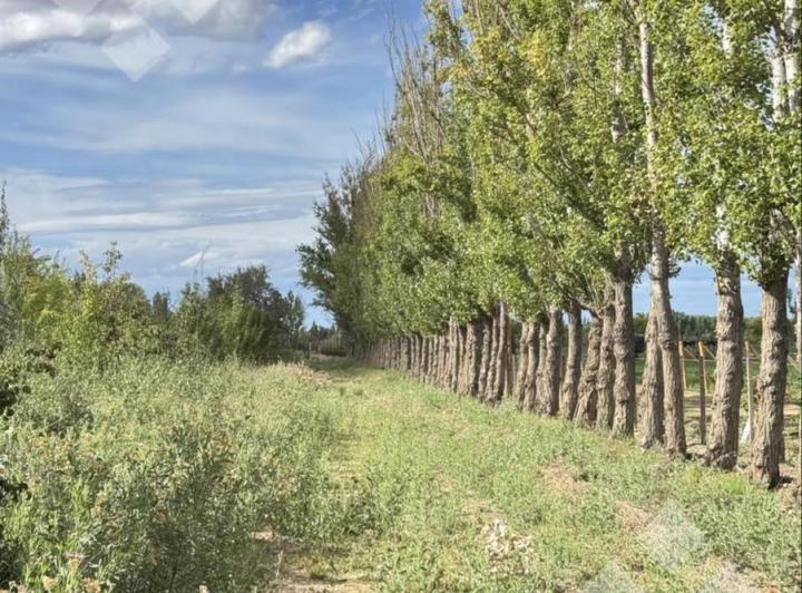Campo · 60924m²