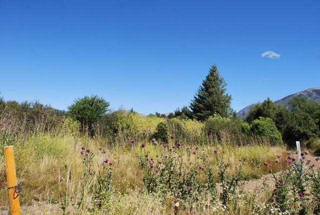 Terreno · 1672m²