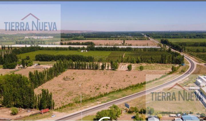 Campo · 37600m²