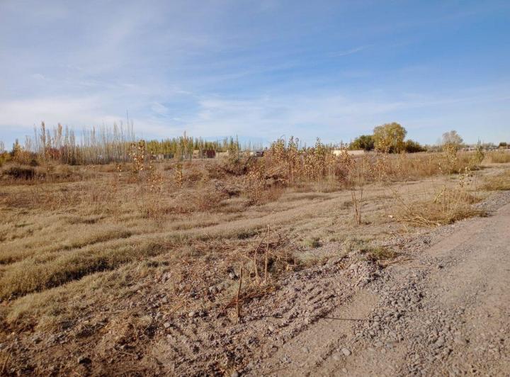 Terreno · 1028m²